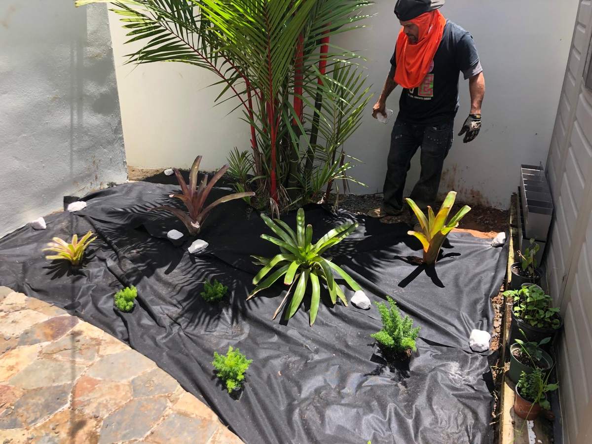Antes: patio con tela anti-maleza y plantas colocadas antes de la piedra