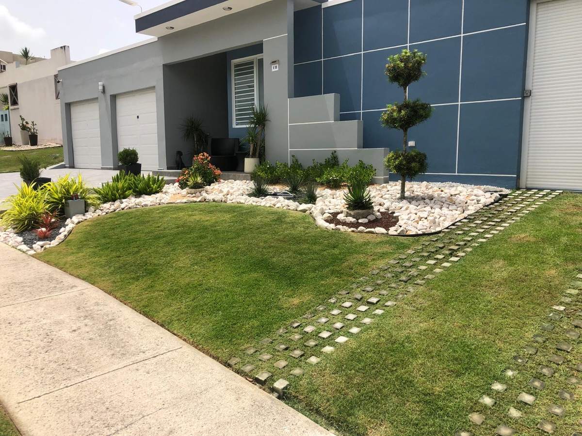 Después: frente residencial con césped instalado, piedra blanca y arbustos podados