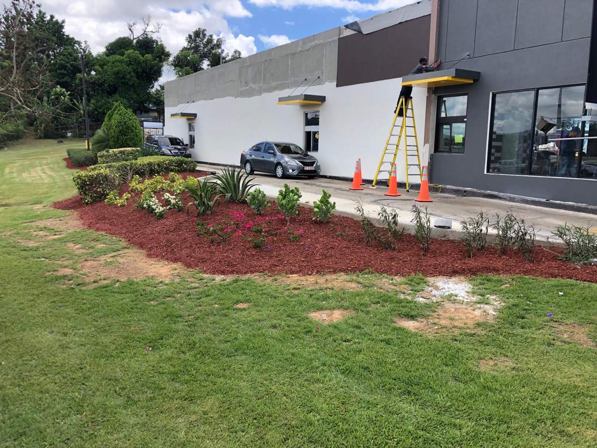 Después: jardinera terminada con mulch rojo, arbustos y flores